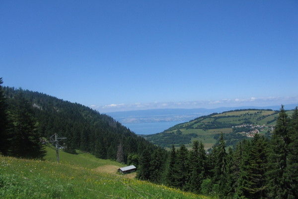 photo 14 Owner direct vacation rental Bernex appartement Rhone-Alps Haute-Savoie View of the property from outside