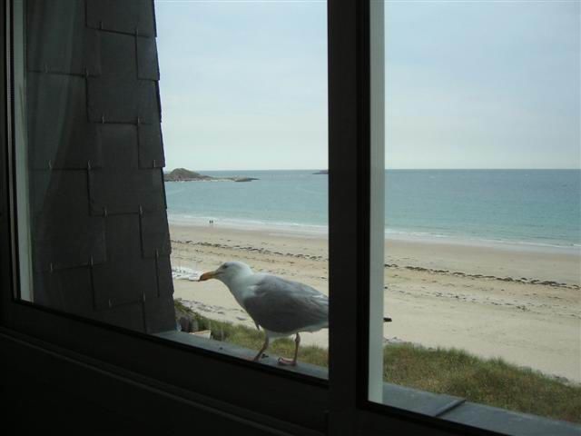 photo 1 Owner direct vacation rental Sables-d'Or-les-Pins appartement Brittany Ctes d'Armor View from the property