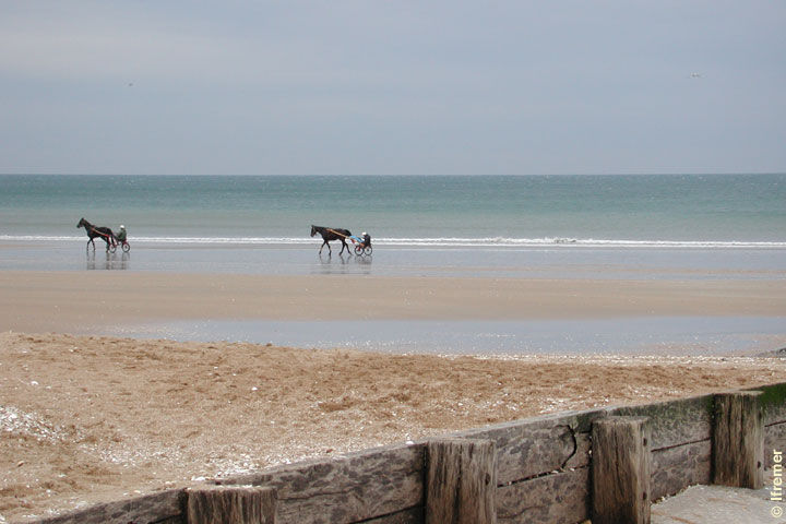 photo 15 Owner direct vacation rental Cabourg appartement Basse-Normandie Calvados View from the property