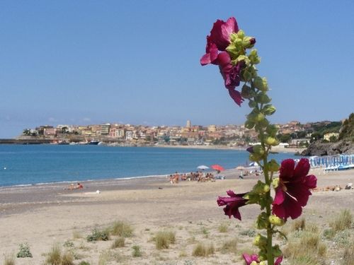 photo 21 Owner direct vacation rental Marina di Camerota appartement Campania Salerne Province Beach