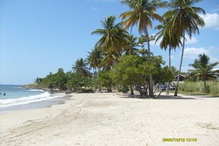 photo 4 Owner direct vacation rental Sainte Luce studio   View from the property