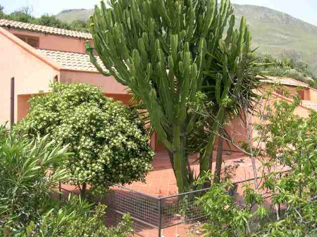 photo 0 Owner direct vacation rental Scopello villa Sicily Trapani Province View of the property from outside