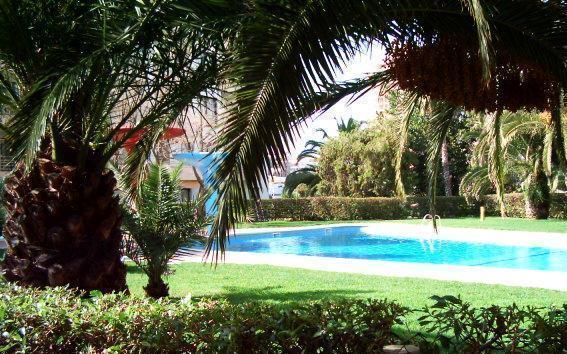 photo 2 Owner direct vacation rental Praia da Rocha appartement Algarve  Garden