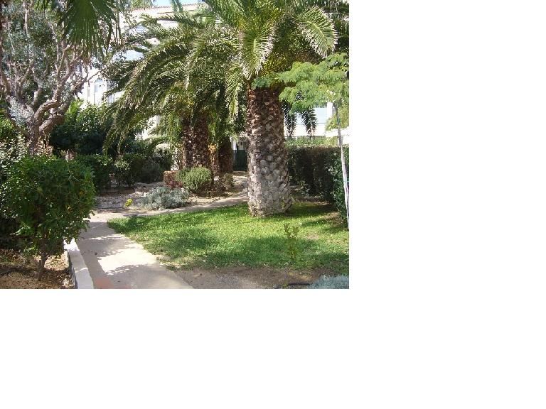photo 12 Owner direct vacation rental Cap d'Agde appartement Languedoc-Roussillon Hrault Garden