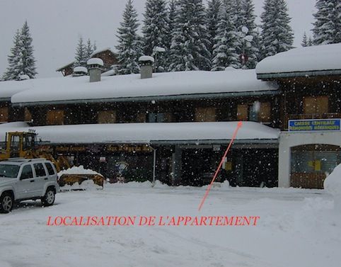 photo 12 Owner direct vacation rental Praz de Lys Sommand appartement Rhone-Alps Haute-Savoie View of the property from outside