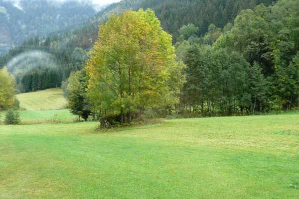 photo 18 Owner direct vacation rental Chtel appartement Rhone-Alps Haute-Savoie View from the property