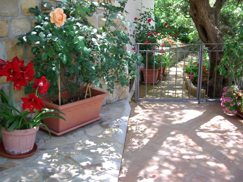 photo 21 Owner direct vacation rental Capo d'Orlando villa Sicily Messina Province Garden