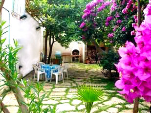 photo 22 Owner direct vacation rental Santa Maria al Bagno appartement Puglia Lecce Province Garden