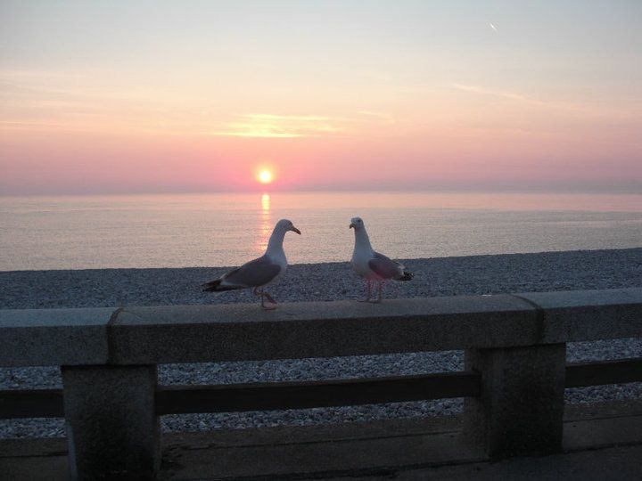 photo 24 Owner direct vacation rental Etretat studio Normandy (Haute-Normandie) Seine-Maritime Beach