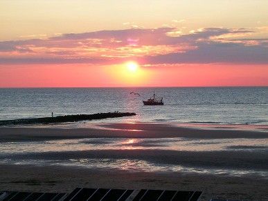 photo 10 Owner direct vacation rental Ostend studio West-Flanders  View from the property