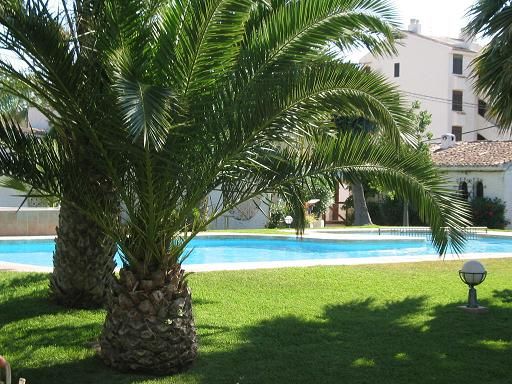 photo 4 Owner direct vacation rental Denia bungalow Valencian Community Alicante (province of) View from the property