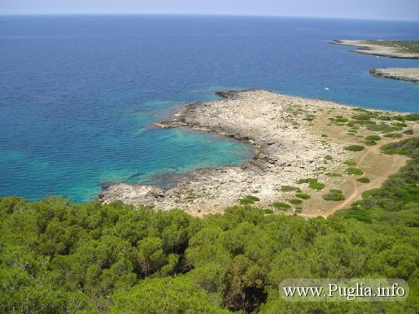 photo 11 Owner direct vacation rental Gallipoli appartement Puglia Lecce Province Surroundings