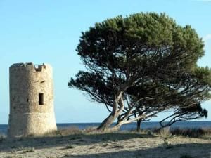 photo 3 Owner direct vacation rental Posada appartement Sardinia Nuoro Province View from the property