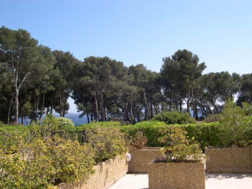 photo 3 Owner direct vacation rental Bandol appartement Provence-Alpes-Cte d'Azur Var View from the terrace