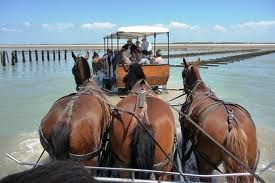 photo 19 Owner direct vacation rental Gouville sur Mer gite Basse-Normandie Manche Beach