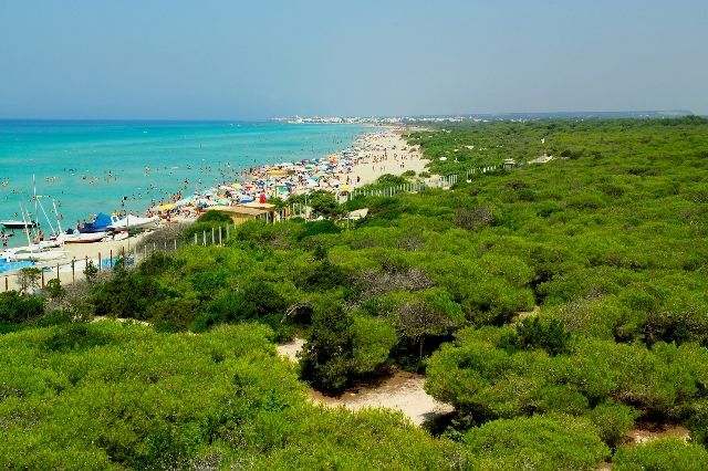 photo 26 Owner direct vacation rental Ugento - Torre San Giovanni villa Puglia Lecce Province Beach