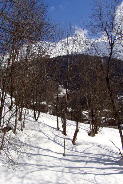 photo 13 Owner direct vacation rental Courmayeur appartement Aosta Valley Aosta Province View from the balcony