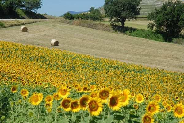 photo 16 Owner direct vacation rental Pesaro appartement Marche Pesaro Urbino Province Other view