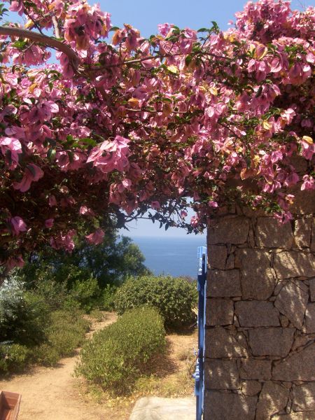 photo 10 Owner direct vacation rental Ajaccio villa Corsica Corse du Sud View of the property from outside