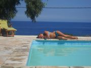 Corse Du Sud vacation rentals: appartement # 120781