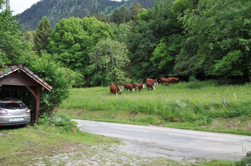 photo 22 Owner direct vacation rental Thollon Les Mmises maison Rhone-Alps Haute-Savoie