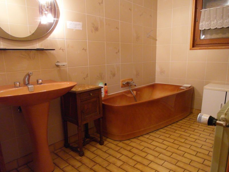 photo 15 Owner direct vacation rental Thollon Les Mmises maison Rhone-Alps Haute-Savoie bathroom