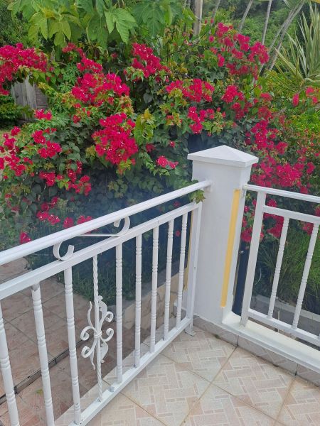 photo 8 Owner direct vacation rental Vieux-Fort villa Basse Terre  View of the property from outside