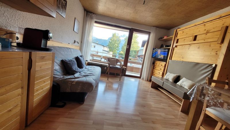 photo 1 Owner direct vacation rental Les 2 Alpes appartement Rhone-Alps Isre Living room 1