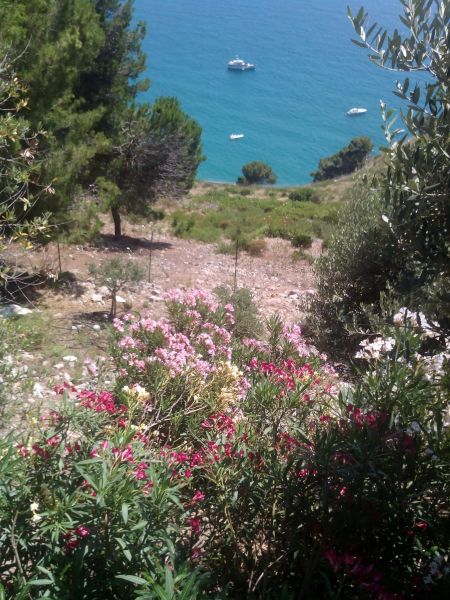 photo 26 Owner direct vacation rental Sperlonga villa Lazio Latina Province View from the terrace