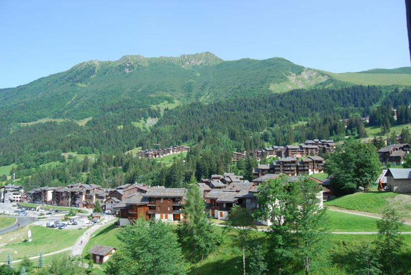 photo 8 Owner direct vacation rental Motiers appartement Rhone-Alps Savoie View from the terrace