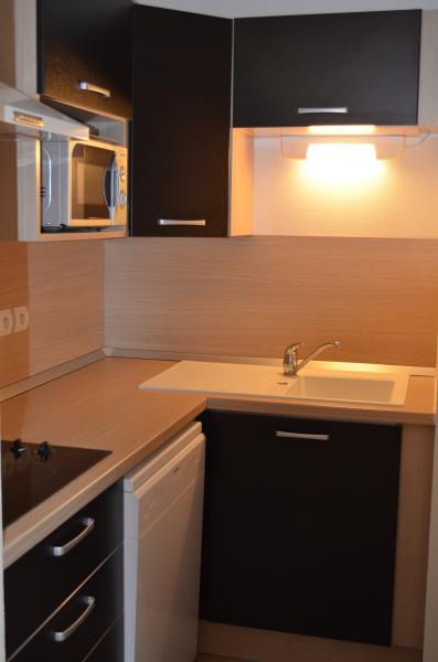 photo 8 Owner direct vacation rental Ax Les Thermes appartement Midi-Pyrnes Arige Kitchenette