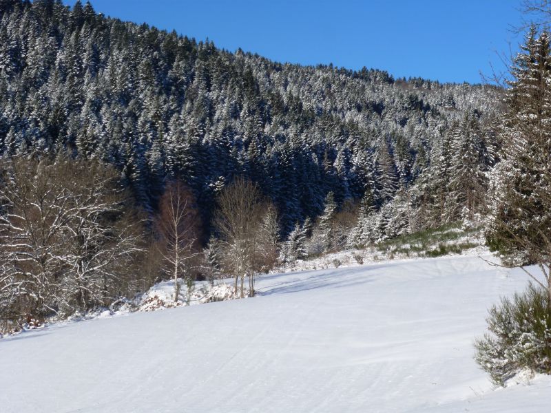 photo 13 Owner direct vacation rental Saint-Anthme gite Auvergne Puy-de-Dme View of the property from outside