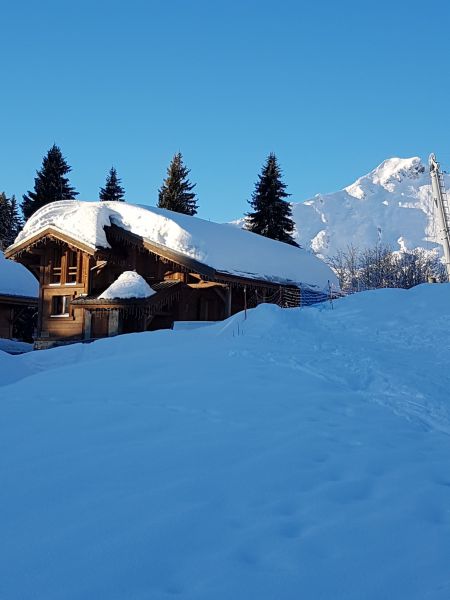 photo 18 Owner direct vacation rental Praz de Lys Sommand chalet Rhone-Alps Haute-Savoie View of the property from outside