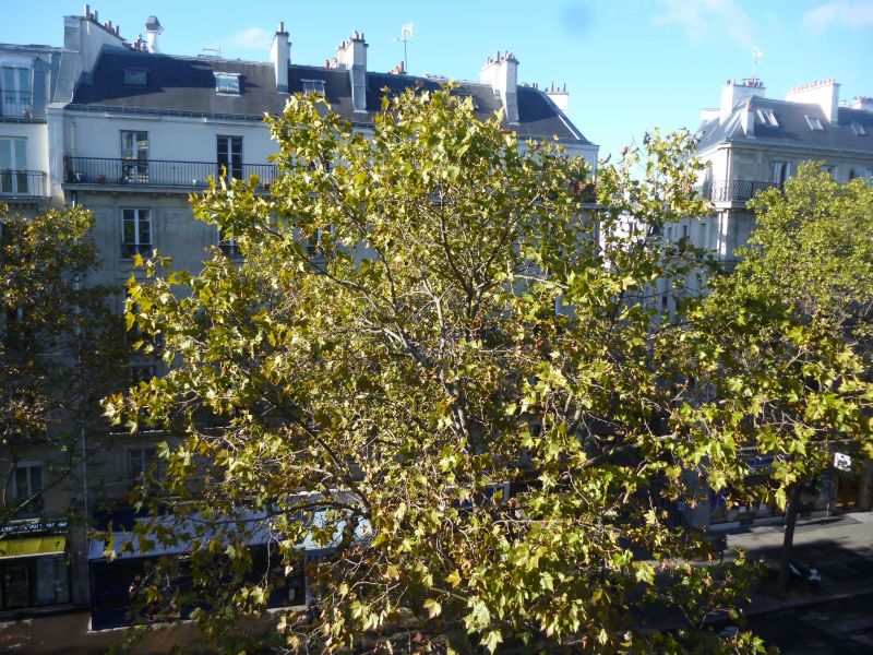 photo 7 Owner direct vacation rental PARIS appartement Ile-de-France Paris View from the property