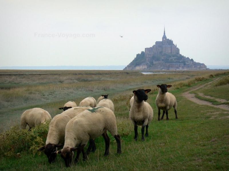 photo 22 Owner direct vacation rental Mont Saint Michel maison Basse-Normandie Manche Other view