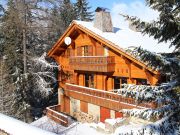 Valfrjus vacation rentals: chalet # 79673