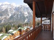 Dolomites vacation rentals: appartement # 81669