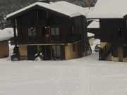 Rhone-Alps mountain and ski rentals: appartement # 91018