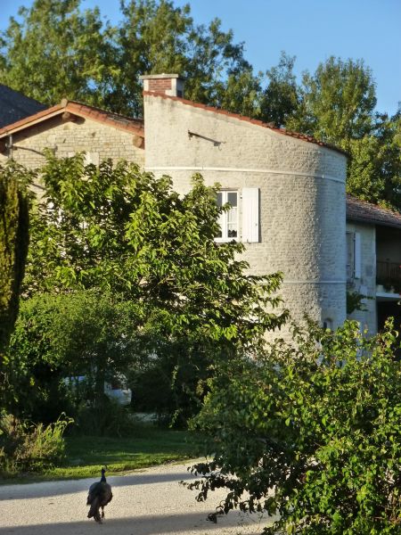 photo 1 Owner direct vacation rental La Rochelle gite Poitou-Charentes Charente-Maritime View of the property from outside