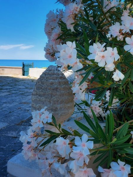 photo 19 Owner direct vacation rental Rodi Garganico appartement Puglia