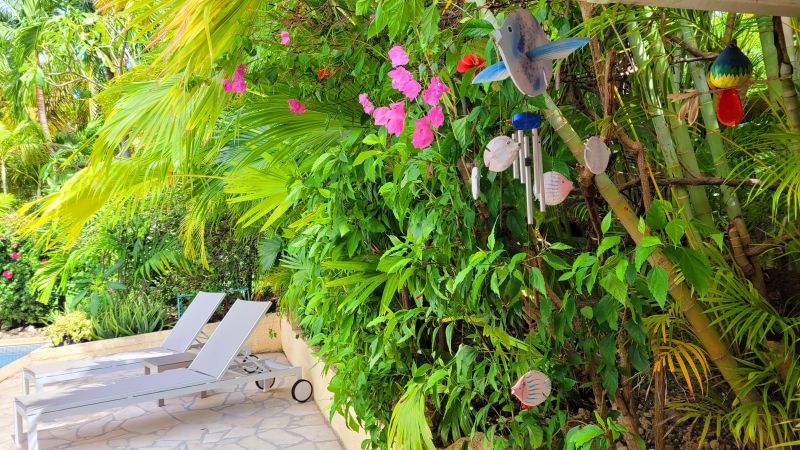 photo 4 Owner direct vacation rental Saint Francois villa Grande Terre  Garden