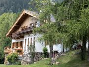 Italian Alps vacation rentals apartments: appartement # 66408