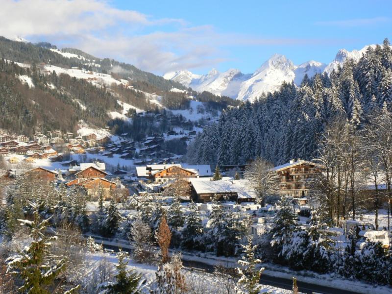 photo 10 Owner direct vacation rental Le Grand Bornand appartement Rhone-Alps Haute-Savoie View from the property