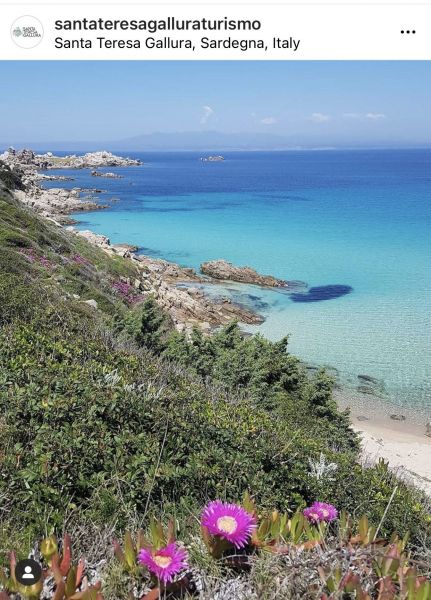 photo 19 Owner direct vacation rental Santa Teresa di Gallura appartement Sardinia Olbia Tempio Province