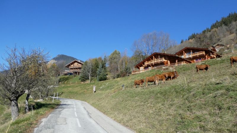 photo 27 Owner direct vacation rental Champagny en Vanoise appartement Rhone-Alps Savoie