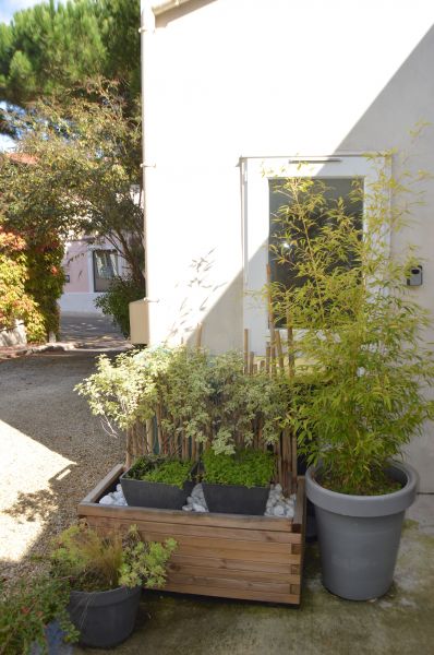 photo 20 Owner direct vacation rental Meschers maison Poitou-Charentes Charente-Maritime View from the terrace