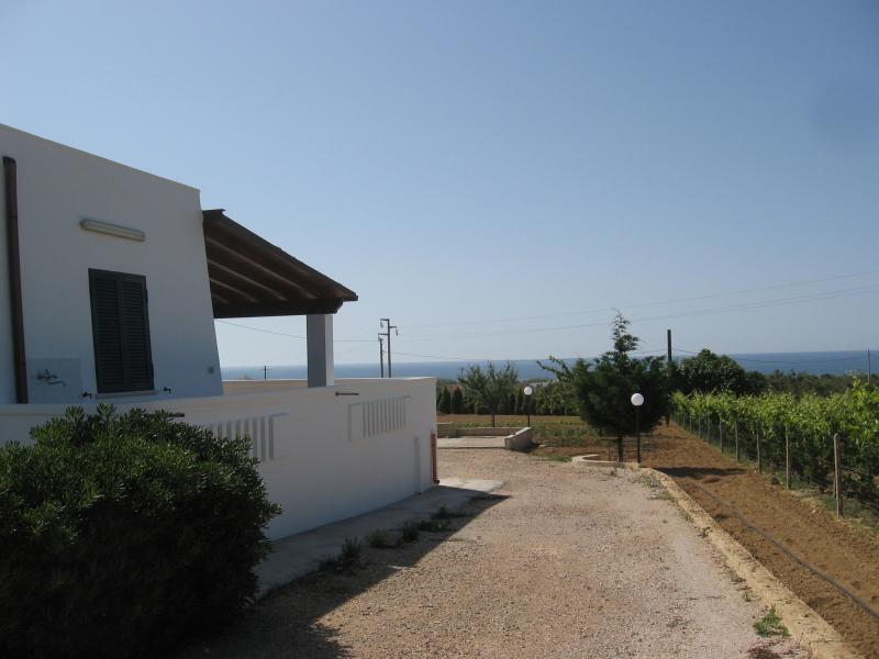 photo 22 Owner direct vacation rental Pescoluse villa Puglia Lecce Province View from the property