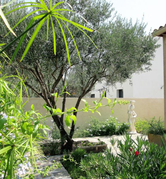 photo 6 Owner direct vacation rental Hyres villa Provence-Alpes-Cte d'Azur Var Garden