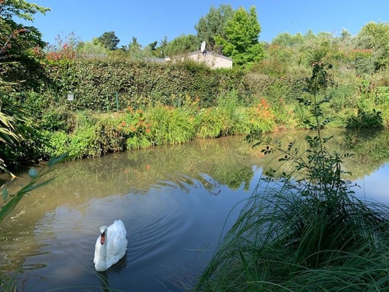 photo 25 Owner direct vacation rental La Tranche-sur-mer mobilhome Pays de la Loire Vende Other view