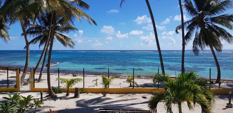 photo 16 Owner direct vacation rental Sainte Anne (Guadeloupe) appartement Grande Terre  View from the terrace